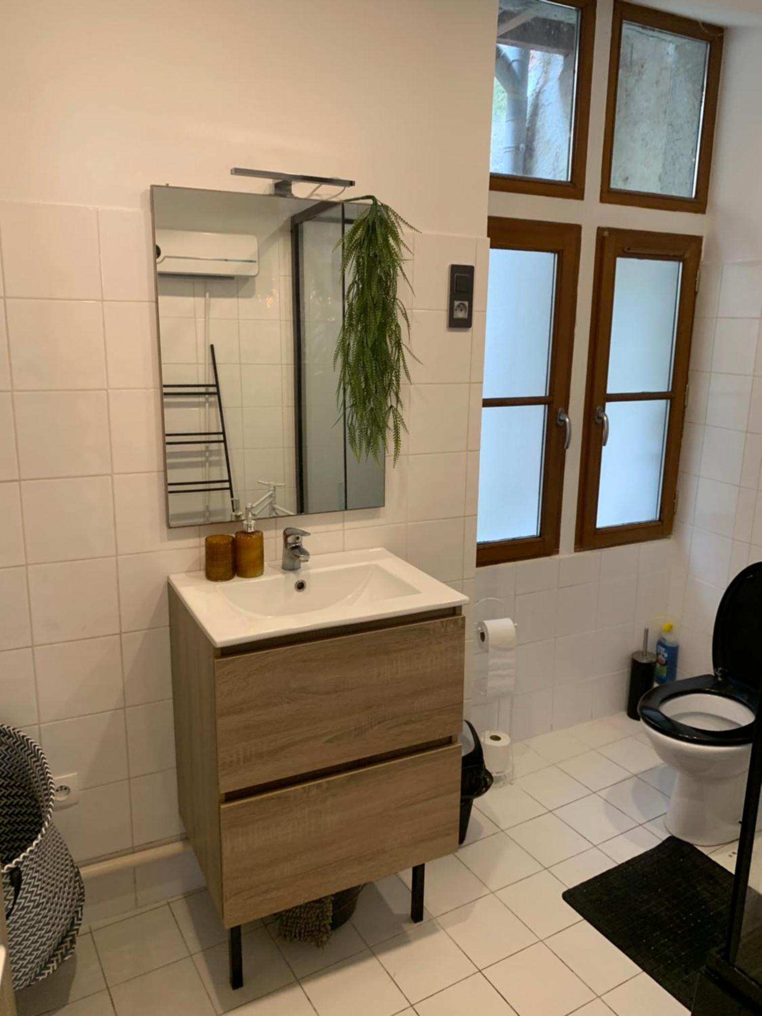 L'escapade Celeste Appartement Orléans
